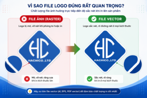 file logo
