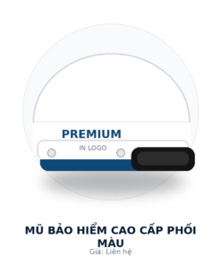 Mũ bảo hiểm cao cấp phối màu