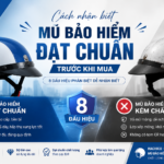 Phân Biệt Mũ Bảo Hiểm Đạt Chuẩn Và Mũ Kém Chất Lượng: 8 Dấu Hiệu Dễ Nhận Biết